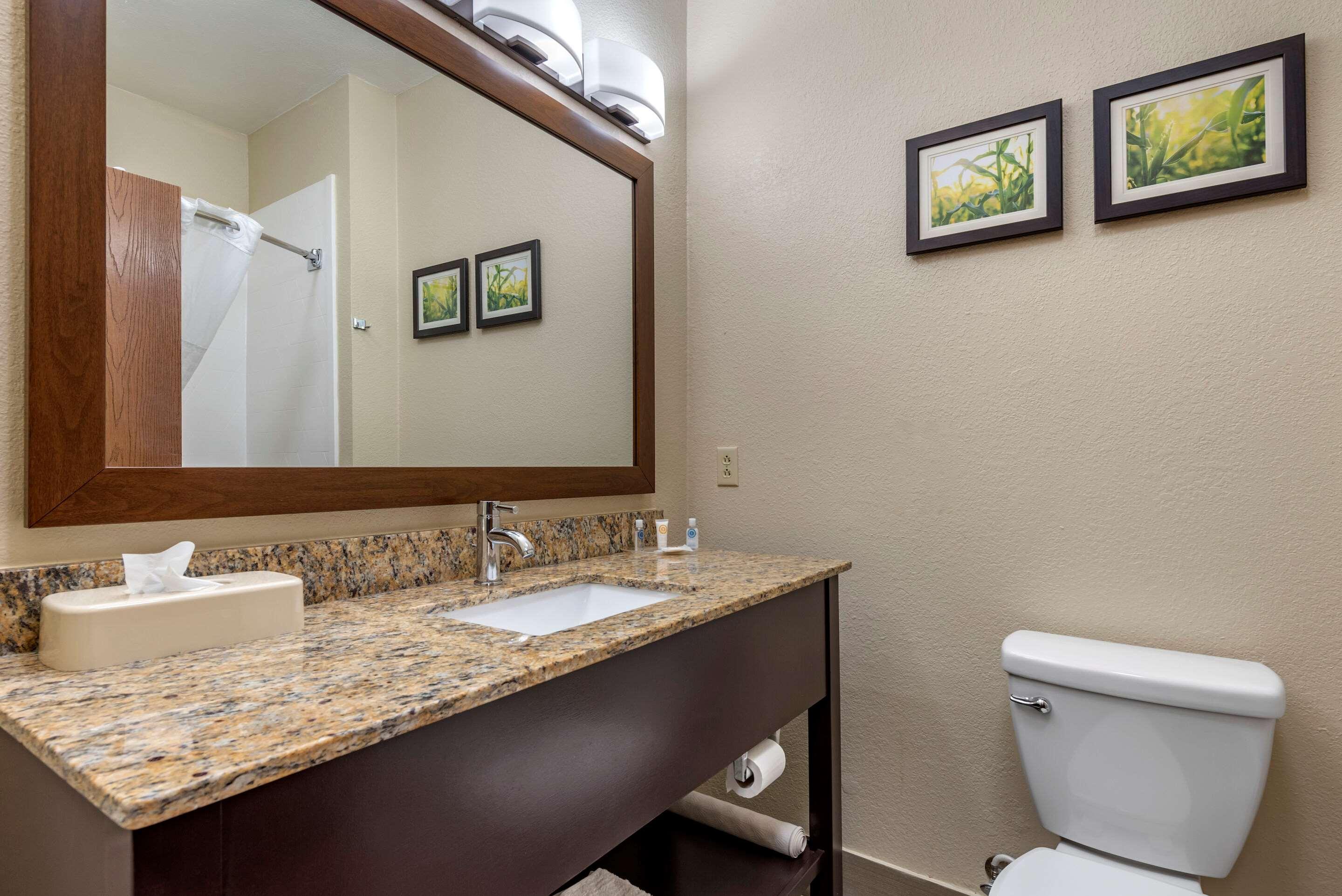 Comfort Suites Auburn Near I-69 Екстериор снимка